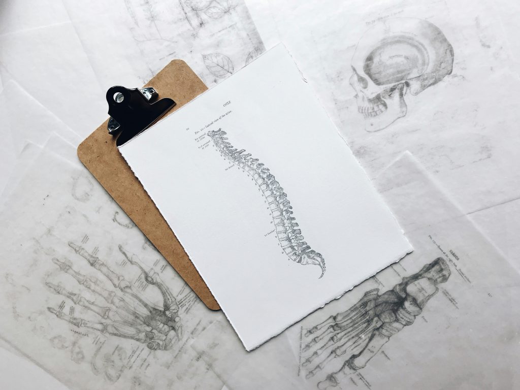 Chiropracteur ajustant colonne vertébrale